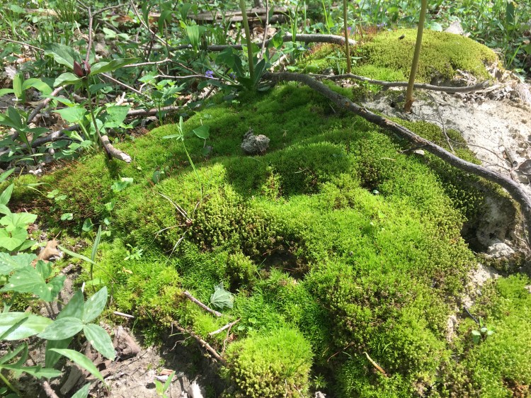 33547D0E-C4F7-400B-B08B-8A9A66463B40